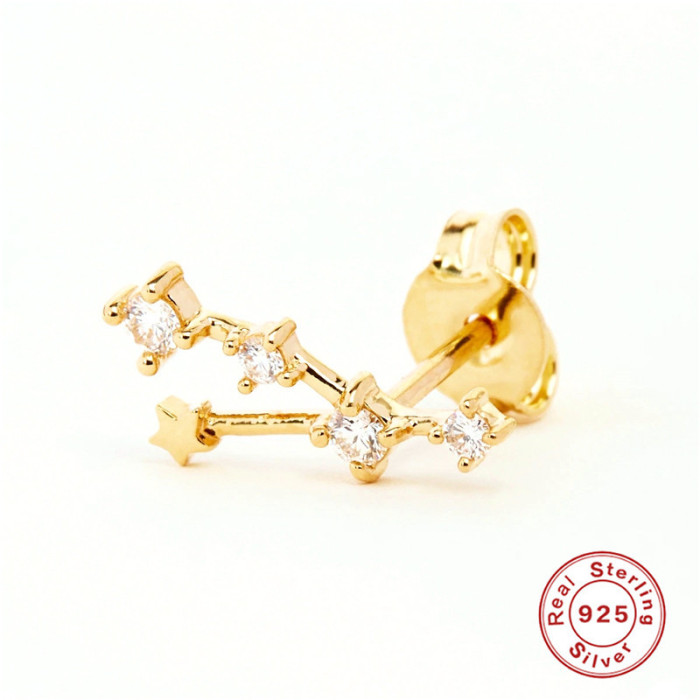 S925 Sterling Silver Irregular Zodiac Sign Stone-Studded Pentagram Earrings Bestselling Creative Style Earrings for...