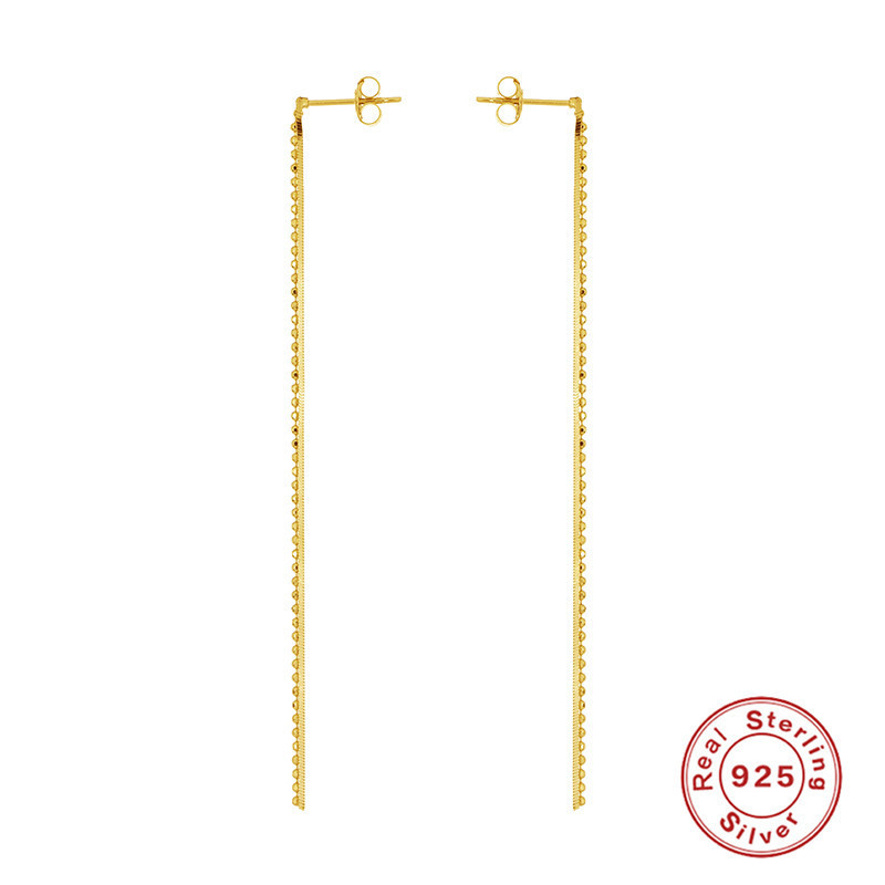 S925 Sterling Silver INS Minimalist Versatile Double Chain Tassel Earrings Studs Ear Lines Korean Version Niche Design Earrings