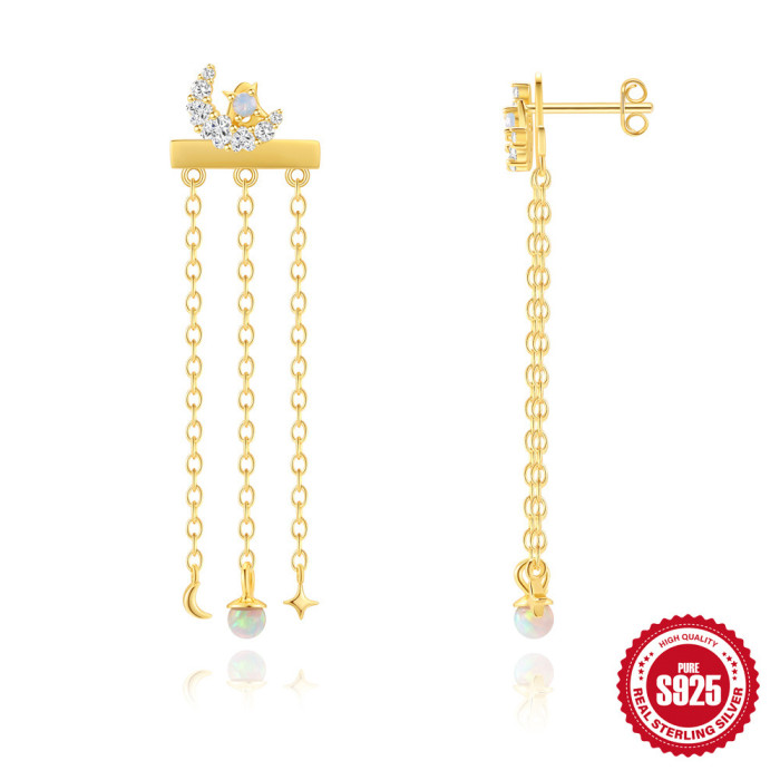 S925 Sterling Silver Chain Tassel Opal Earrings Star Drop Earrings Korean Style Niche Design Sense Light Luxury Ear Jewelry