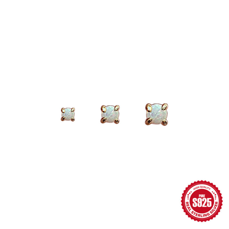 S925 Sterling Silver Earrings Cross-Border Hot-Selling New Four-Prong Opal Stud Earrings Fashion High-Quality Opal Women's Earrings