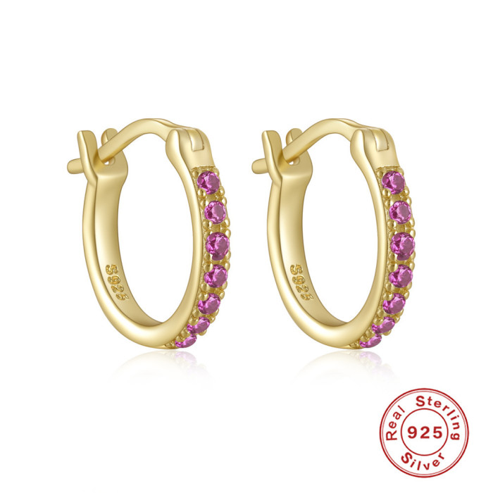 S925 Sterling Silver Single Row Diamond-Studded Hoop Earrings Amazon Hot-Selling Elegant INS Niche High-End Earrings
