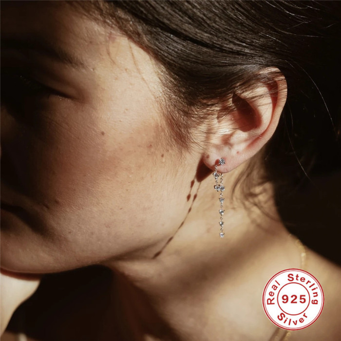 S925 Sterling Silver INS Style Luxurious Diamond-Studded Chain Tassel Earrings Korean and Japanese Style Elegant Personality INS Style Women's Earrings