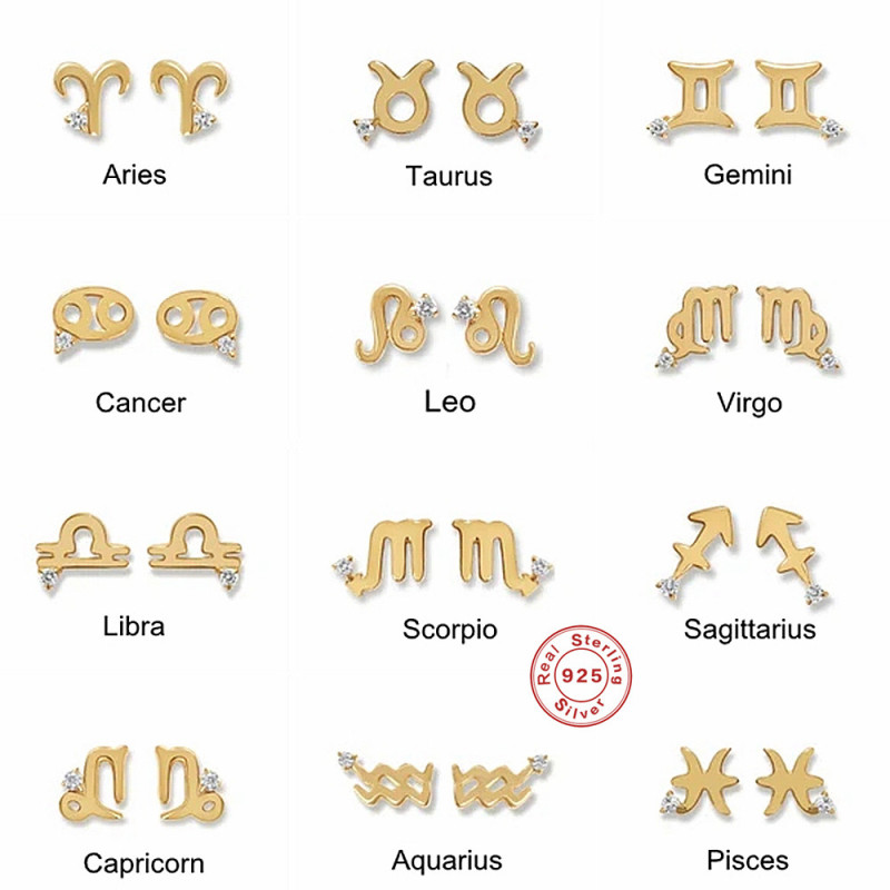 S925 Sterling Silver Minimalist Smooth Surface Zodiac Sign Personalized Diamond Stud Earrings European and American Hot Selling Creative Zodiac Earrings