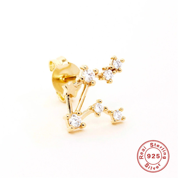 S925 Sterling Silver Irregular Zodiac Sign Stone-Studded Pentagram Earrings Bestselling Creative Style Earrings for...