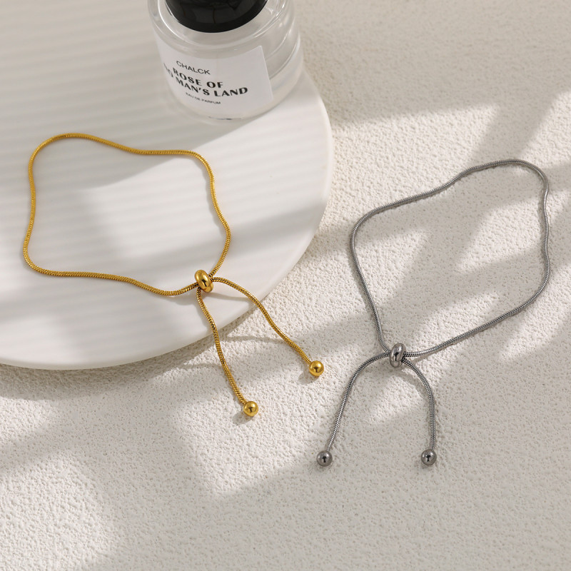 Cross-Border Minimalist European and American INS Style Snake Bone Chain Anklet Titanium Steel Plated with 24K Gold Adjustable High-End Fashion Foot Jewelry