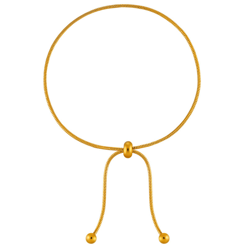 Cross-Border Minimalist European and American INS Style Snake Bone Chain Anklet Titanium Steel Plated with 24K Gold Adjustable High-End Fashion Foot Jewelry