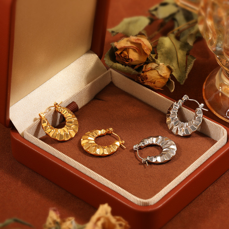 New Cross-Border European and American Style Simple Niche Hammered Earrings for Women Fashionable Personality High-End Gold-Plated Titanium Steel Earrings