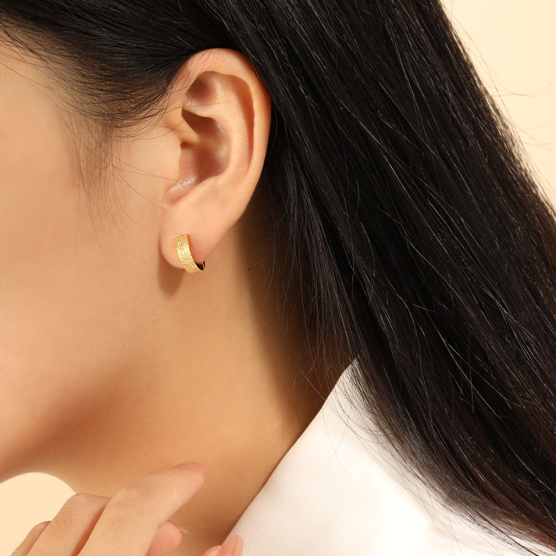 Korean Fashion New Titanium Steel Matte Earrings Niche Design Simple Personality Versatile High-end Gold-plated Ear Jewelry