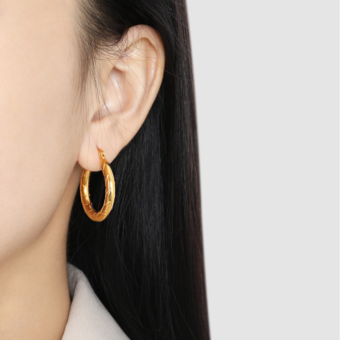 New Niche High-End Exaggerated Stone Pattern Earrings for Women Fashionable Personality Versatile Titanium Steel Ea...
