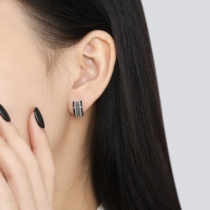 New Chinese Style National Trend Cool Classic Brushed Great Wall Pattern Earrings for Women Fashionable Personality Versatile Gold-Plated Titanium Steel Earrings