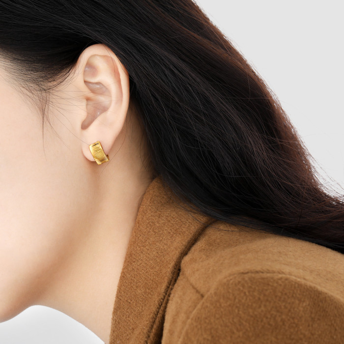 Korean Fashion New Niche Simple Cat Eye Pattern Embossed Earrings Personality Versatile Gold Plated High-End Titanium...