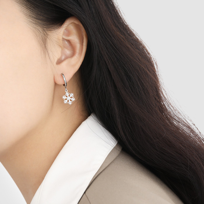 Korean Style Ins Niche New Matte Snowflake Earrings Fashionable Personality Gold-Plated High-End Versatile Titanium Steel Earrings