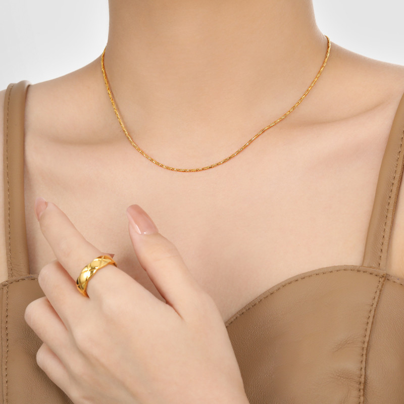 European and American Cross-Border New Niche Simple Twisted Snake Bone Chain for Women Fashionable High-End Personality Gold-Plated Titanium Steel Snake Bone Chain