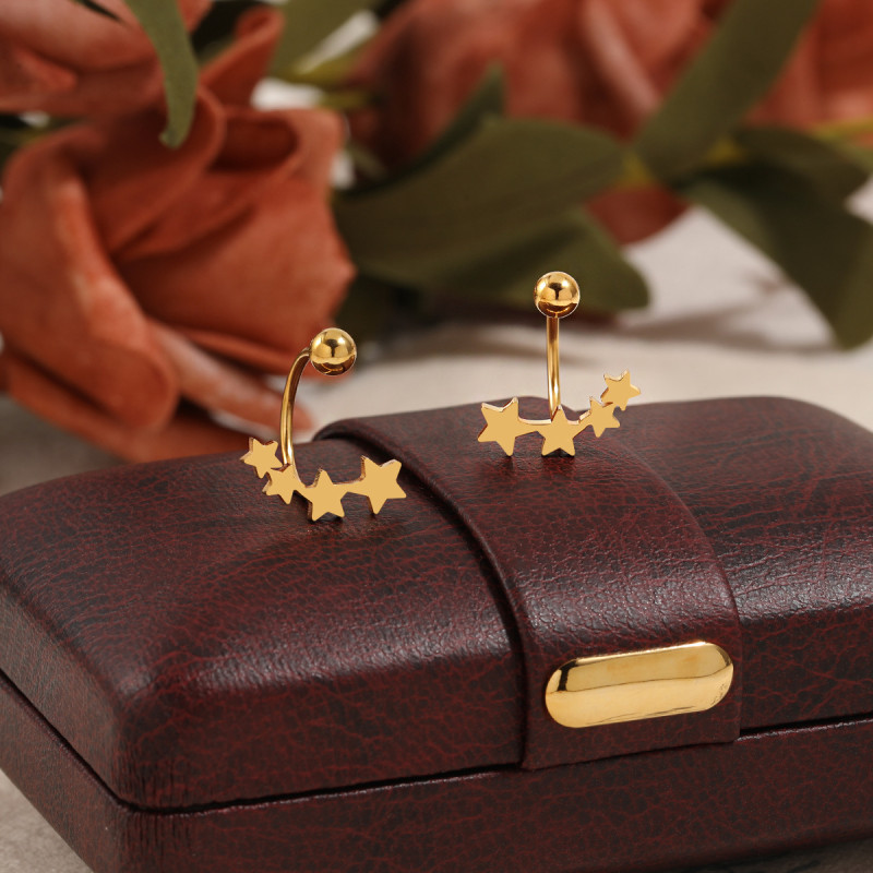 Korean Style New Elegant Niche Five-Pointed Star Ear Bone Stud Fashion Ins Style Simple Cross-Border Titanium Steel Earrings