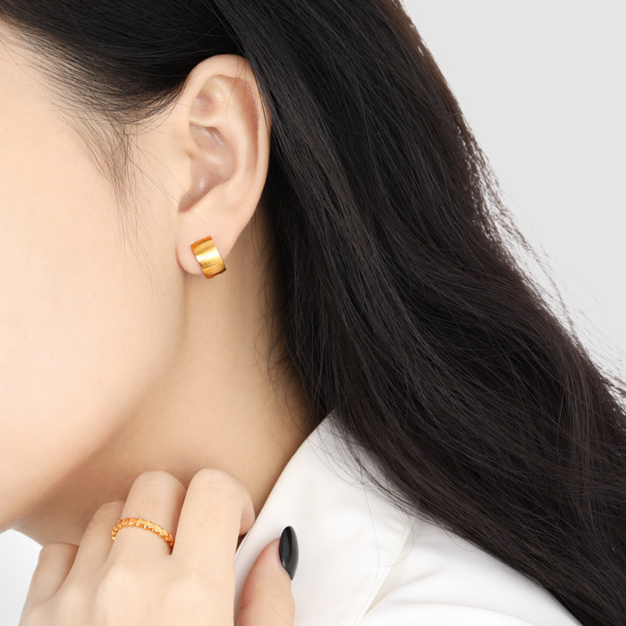 Retro New Niche Minimalist Personality Brushed Earrings Fashion Personality Gold Plated Titanium Steel Earrings for W...
