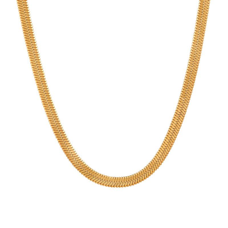 Fashion Cross-Border European and American Simple Flat Snake Bone Chain Bare Chain Necklace for Women, Unique and Versatile Gold-Plated Titanium Steel Collarbone Chain