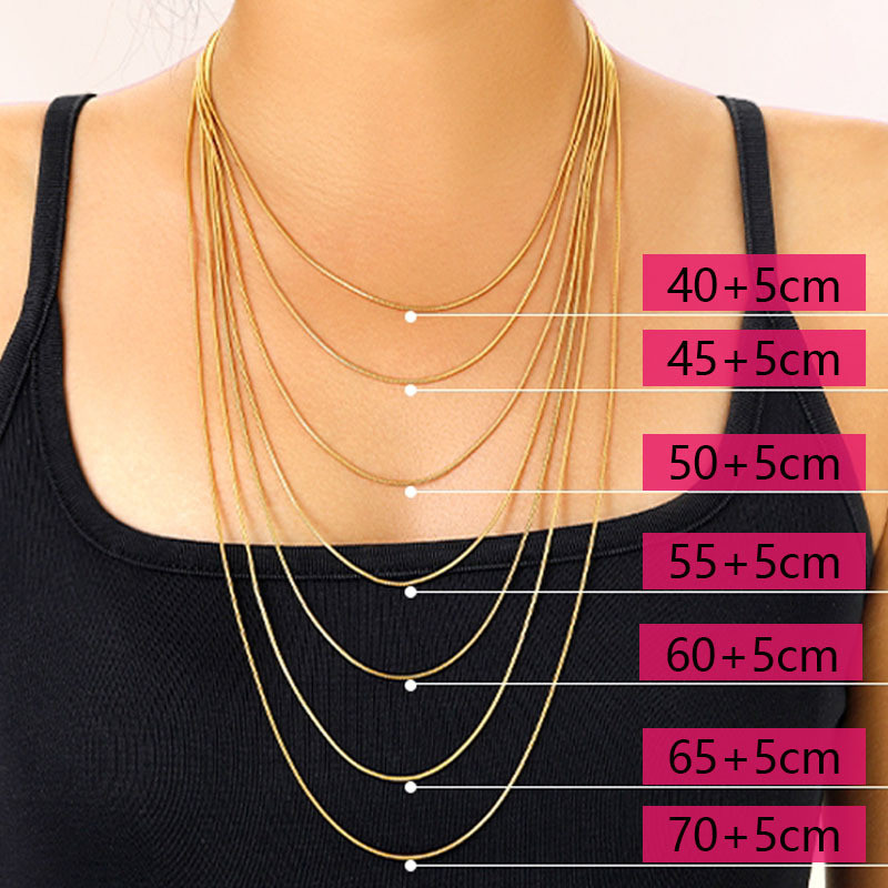 Cross-Border Titanium Steel Round Snake Chain Simple Chain Non-Fading European and American Summer Minimalist Personality Stainless Steel Snake Bone Chain Men's Necklace Women's