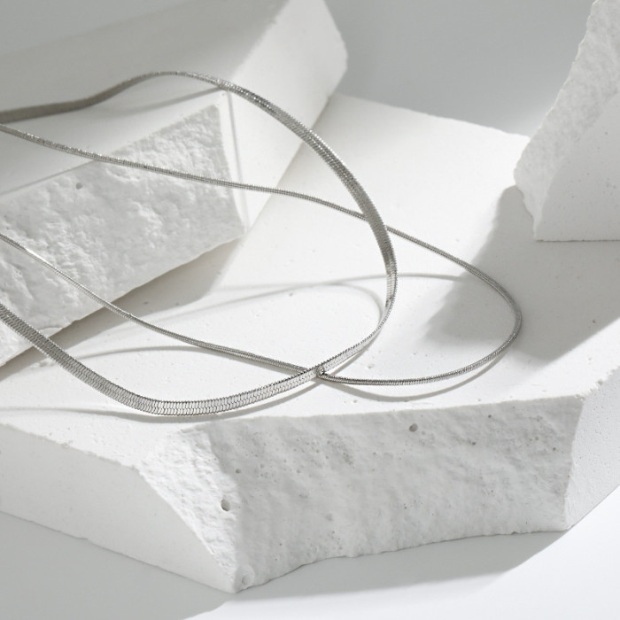 Thin Double Layer Flat Snake Bone Chain European and American Women's INS Minimalist Style Internet Celebrity Personality Layered Short Blade Necklace
