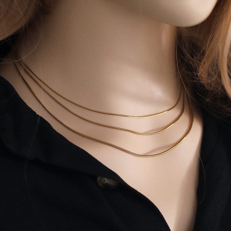 Women's Titanium Steel Snake Bone Chain Necklace Ins Style 45+5cm Jewelry Chain Vacuum Plating 18k Stainless Steel Round Snake