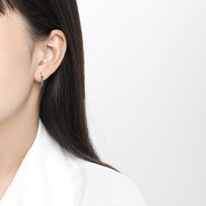 Wish Niche Stone-Studded Earrings Simple Versatile Elegant Earrings Hoop Colorful Sapphire Earrings