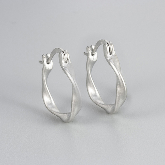 Light Luxury Irregular Matte Plain Hoop Earrings for Women, Niche Design Sense, High-end Hong Kong Style Earrings, Ne...