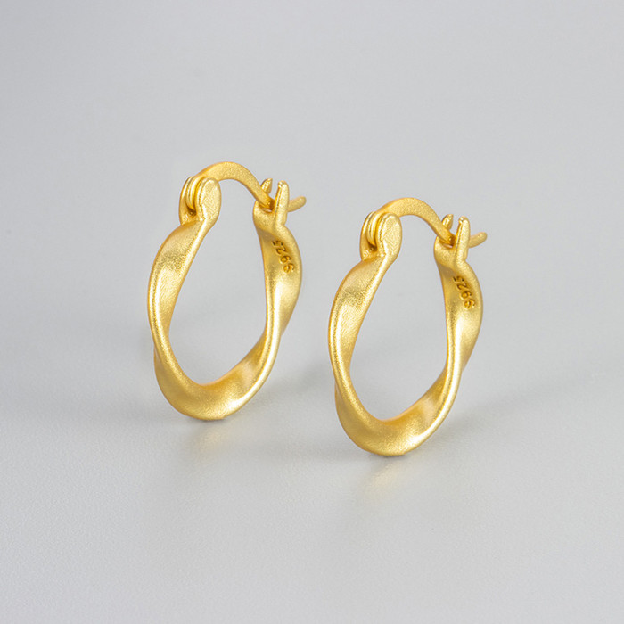 Light Luxury Irregular Matte Plain Hoop Earrings for Women, Niche Design Sense, High-end Hong Kong Style Earrings, Ne...