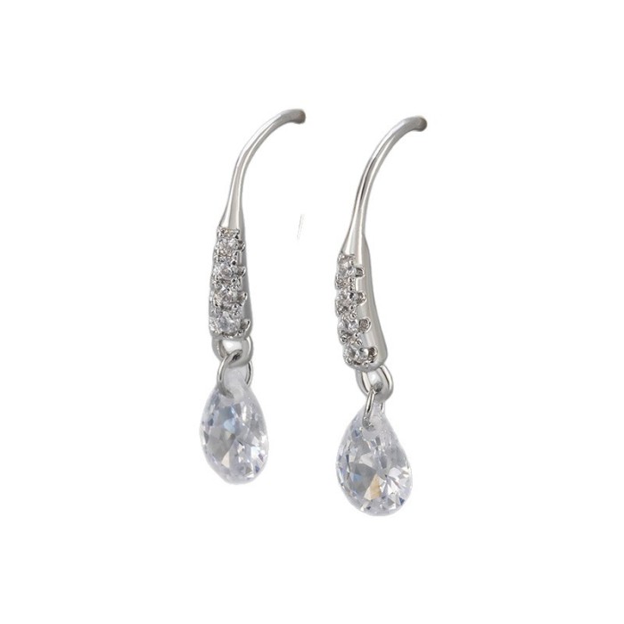 Water Drop Zircon Ear Hook Elegant Earrings Light Luxury High-end New Unique Earrings Fashion Tassel Earrings for Women