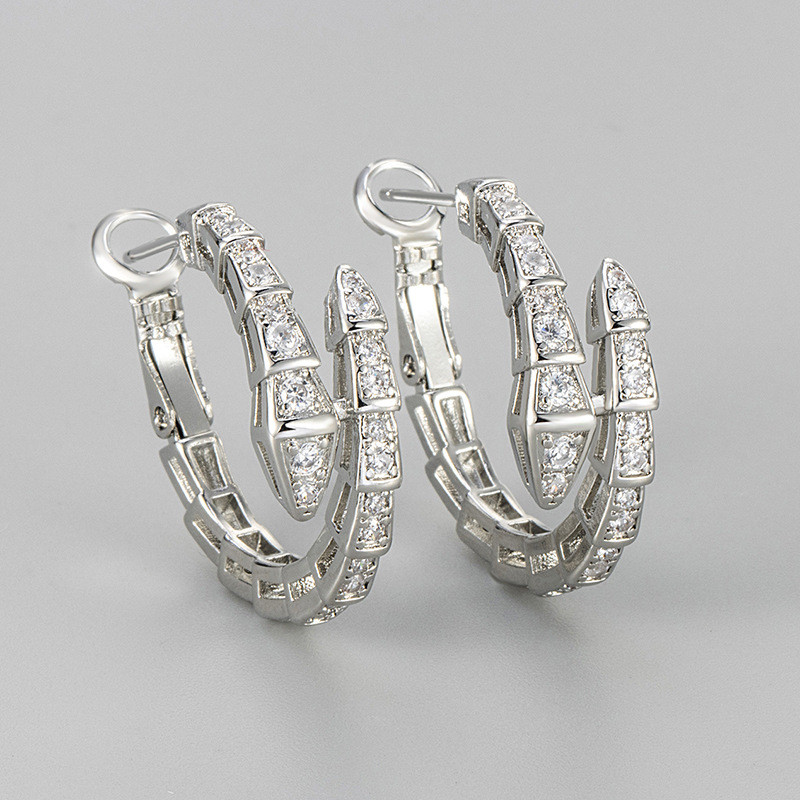 Light Luxury Snake-Shaped Zircon Earrings Niche Design Sense High-End Temperament Stud Earrings 2025 New Hot Fashion Earrings for Women