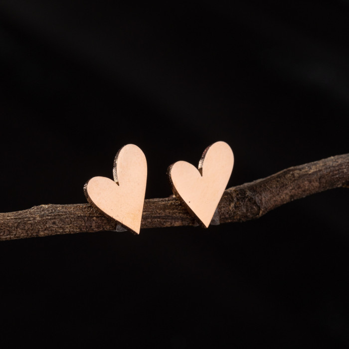 Cross-Border New Ins Style Literary Sweet Geometric Simple Heart Earrings Fashion Stainless Steel Heart-Shaped Ear Jewelry Wholesale