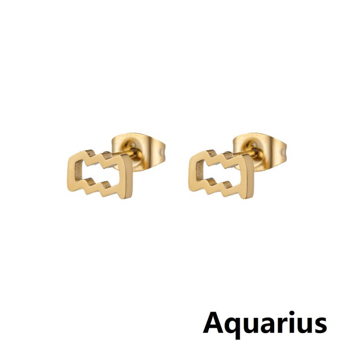 Minimalist European and American Cross-Border New Stainless Steel 12 Zodiac Sign Earrings Symbol Pattern Individually Packaged Earrings In Stock Wholesale