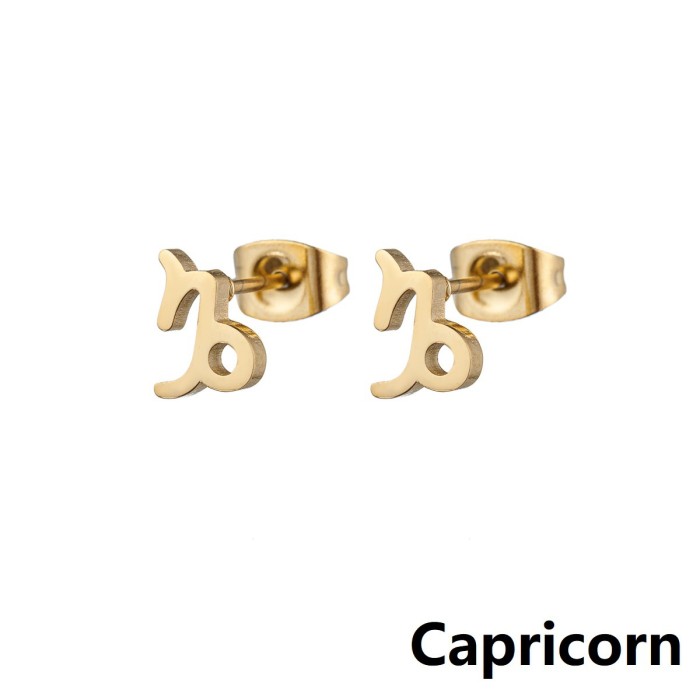 Minimalist European and American Cross-Border New Stainless Steel 12 Zodiac Sign Earrings Symbol Pattern Individually Packaged Earrings In Stock Wholesale