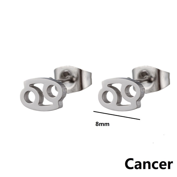 Minimalist European and American Cross-Border New Stainless Steel 12 Zodiac Sign Earrings Symbol Pattern Individually Packaged Earrings In Stock Wholesale