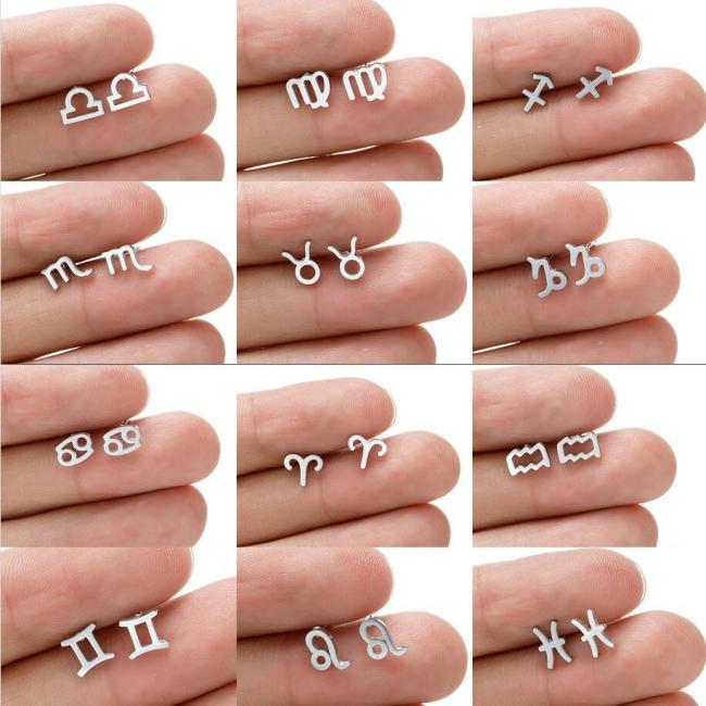 Minimalist European and American Cross-Border New Stainless Steel 12 Zodiac Sign Earrings Symbol Pattern Individually Packaged Earrings In Stock Wholesale