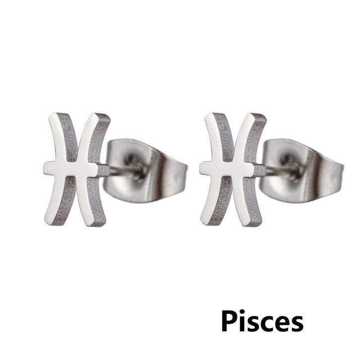 Minimalist European and American Cross-Border New Stainless Steel 12 Zodiac Sign Earrings Symbol Pattern Individually Packaged Earrings In Stock Wholesale