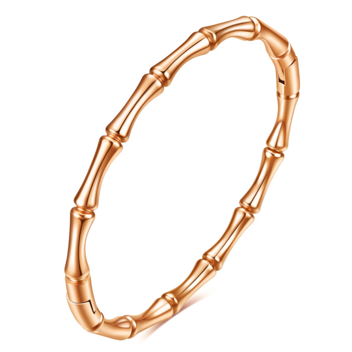 European and American Cross-Border Hot Sale New Ins Simple Bracelet Series 18K Gold Bamboo Joint Cylinder Titanium Steel Smooth Bracelet Wholesale