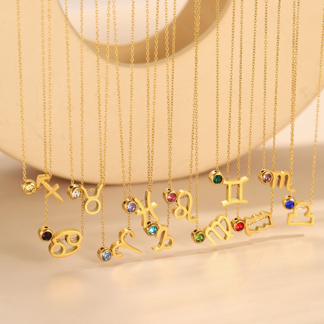 Minimalist INS Xiao Shi Birthstone Pendant Flower December 12th Stone Independent Stand Peanut Stainless Steel Necklace Collarbone Chain