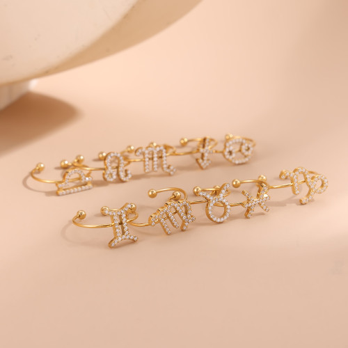 European and American Cross-Border Hot Sale Fashion Simple Luxury Women's Stainless Steel Inlaid Diamond 12 Zodiac Rings Jewelry Wholesale