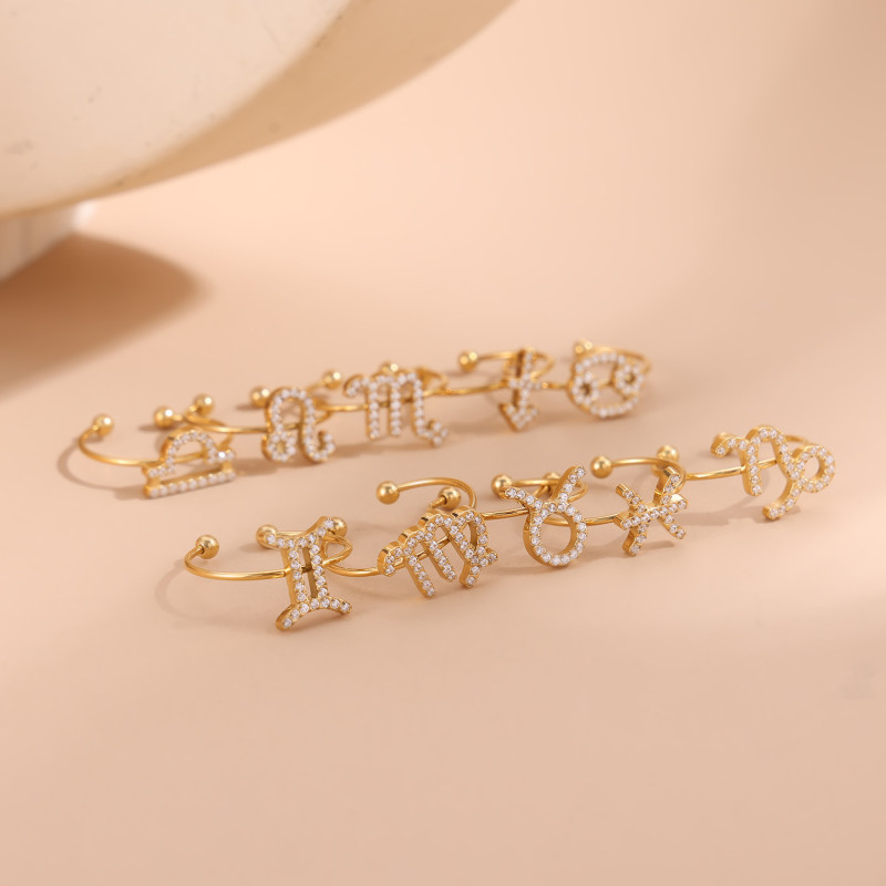 European and American Cross-Border Hot Sale Fashion Simple Luxury Women's Stainless Steel Inlaid Diamond 12 Zodiac Rings Jewelry Wholesale
