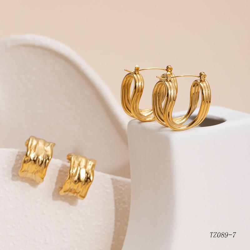 INS Fashion Personality Stainless Steel Earrings Niche Geometric Design Gold-Plated Light Luxury Earrings Titanium Steel Ear Jewelry Wholesale