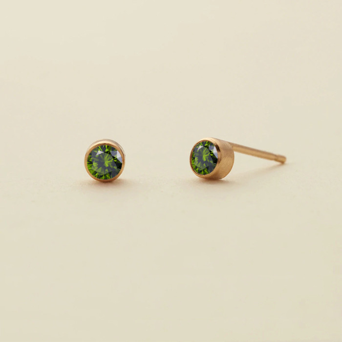 Amazon Fashion Simple Geometric Women's Stainless Steel Multicolor Earrings Jewelry Wholesale Versatile 2025 New Model