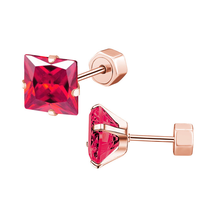 Cross-Border Exclusive Stainless Steel Zircon Earrings Four-Prong Square Small Earrings Titanium Steel Ear Studs Women's Trendy Jewelry