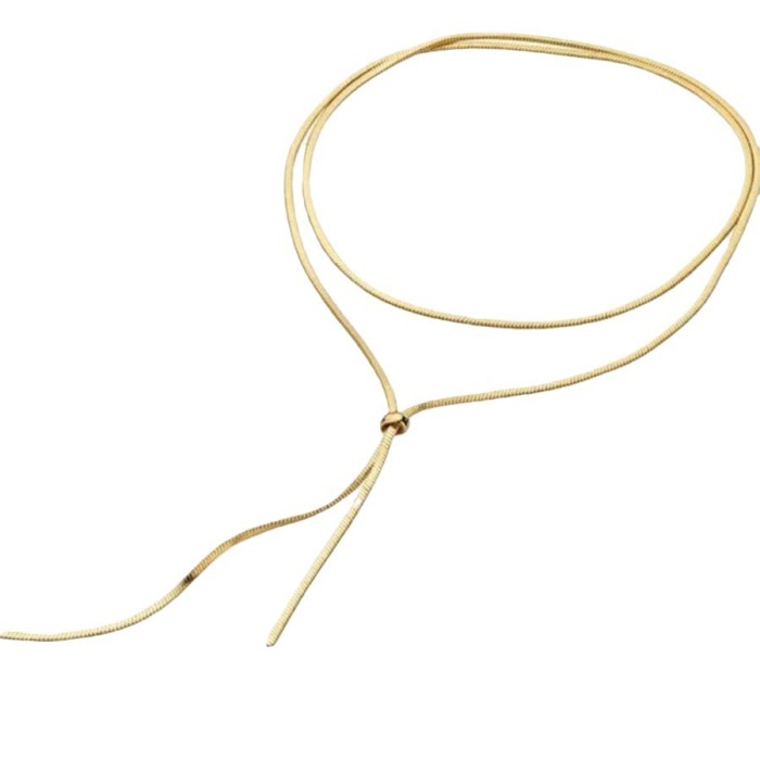 Elegant Double-Wear New Trendy Sweater Chain for Women, High-End Long Simple and Stylish Necklace, Perfect for Matchi...