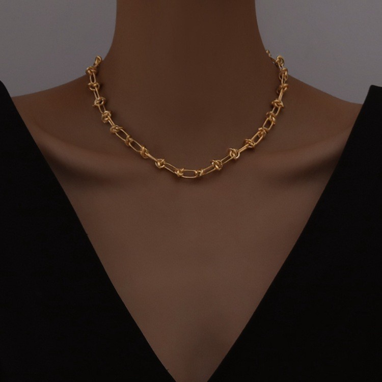 Cross-Border Wholesale European and American Street Style Knotted Simple Bare Chain Necklace Titanium Steel Exaggerated Punk Thorn Chain Clavicle Chain