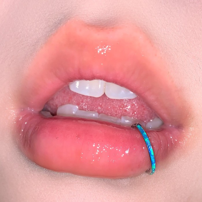 Aobao Lip Ring Seamless Hoop Sparkling Hot Girl Ear Bone Ring Plain Ring Lip Stud In Stock 316L Stainless Steel Piercing Jewelry