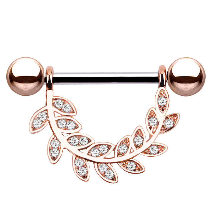 Amazon Bestselling Nipple Rings European and American Trendy Stainless Steel Zircon Nipple Rings eBay Amazon Bestseller