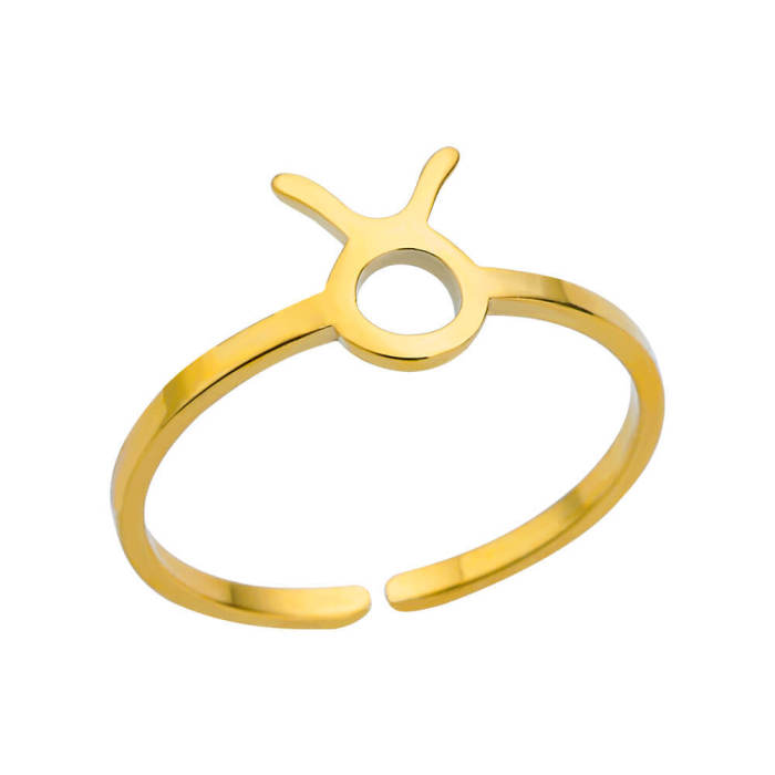 Minimalist New Stainless Steel 12 Zodiac Signs Rings Birthstone Rings Adjustable Rings Set