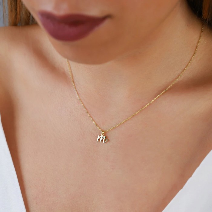 Cross-Border Hot-Selling Personalized Stainless Steel Necklace New A-Z Letter Necklace for Women Unique Niche Collarbone Chain Wholesale