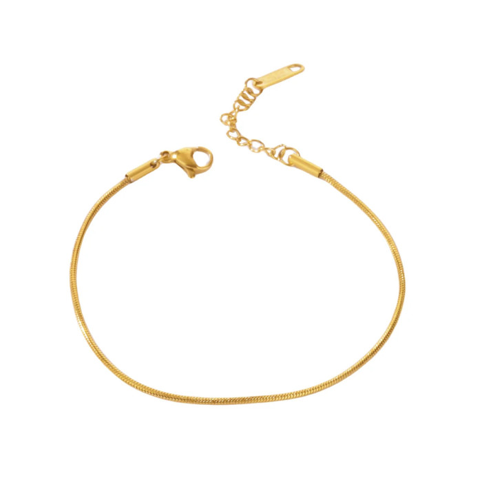 Cross-Border Simple Stainless Steel 18K Gold Plated Women's Bracelet Braided Chain NK Chain Layered Snake Bone Chain Bracelet with Chain