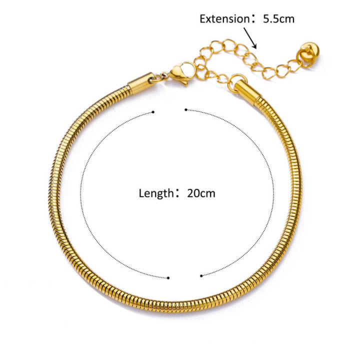 European and American Simple New Anklet Figaro Blade Chain Women's Anklet Titanium Steel Plated 18k Stainless Steel Anklet Jewelry