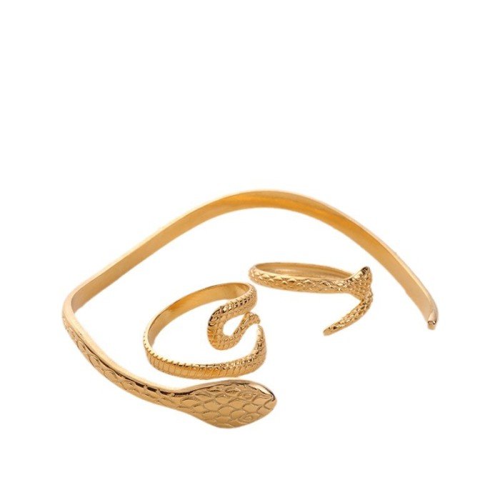 Stainless Steel Titanium Steel Snake Ring Python Mosquito Bracelet Titanium Steel King Cobra Totem Animal Jewelry Accessories